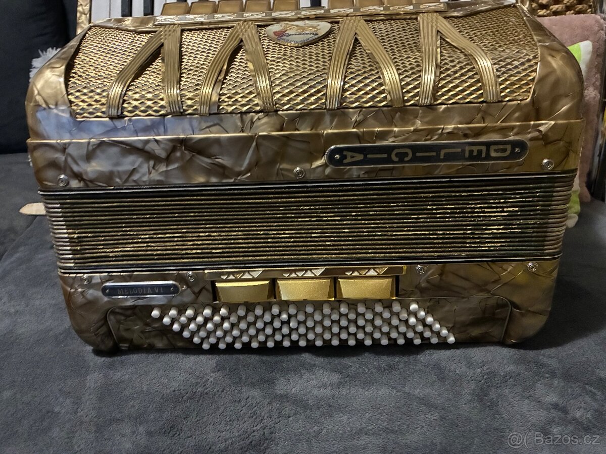 Akordeon/Harmonika Delicia Lignatone - 4