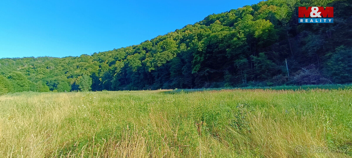 Prodej louky, 1665 m², Nižbor - 4