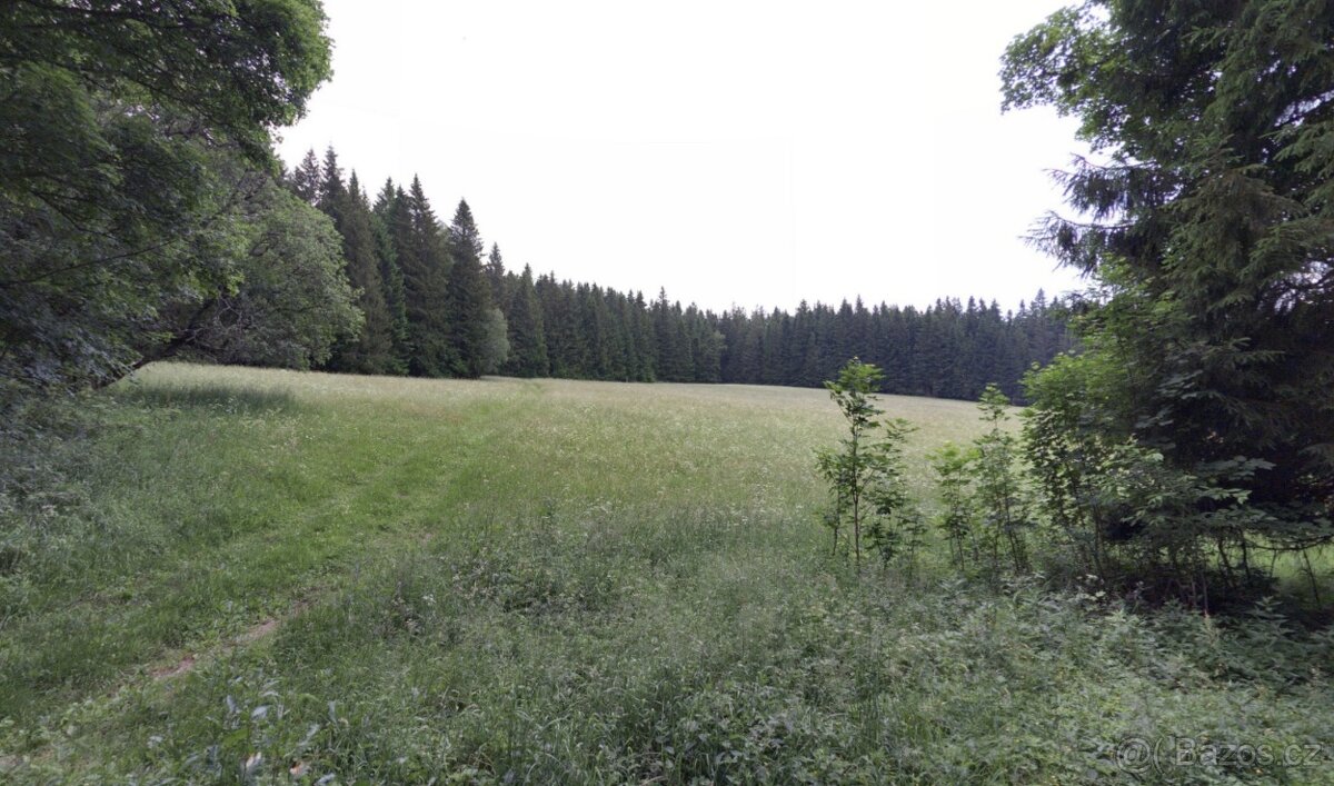 Pozemek na tinyhouse Borová Lada 8894m2 levně - 4