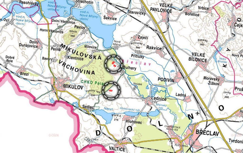 Sady, vinice, prodej, Bulhary, Břeclav - 4