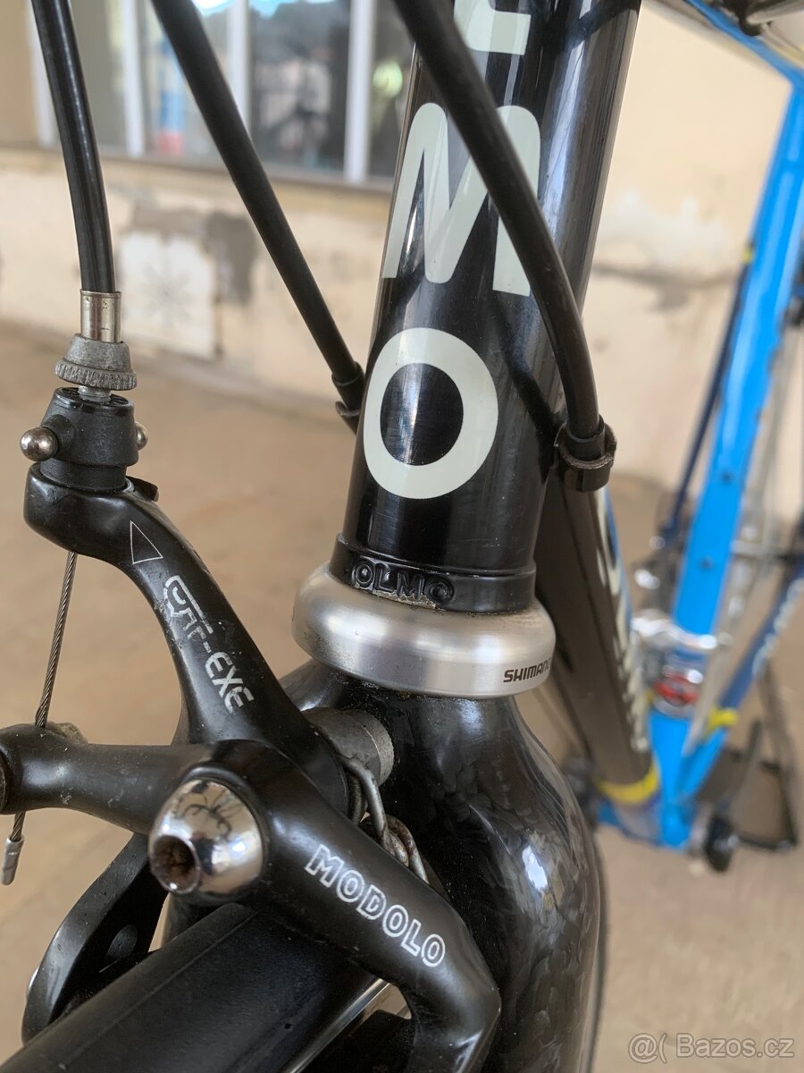 Olmo - 4