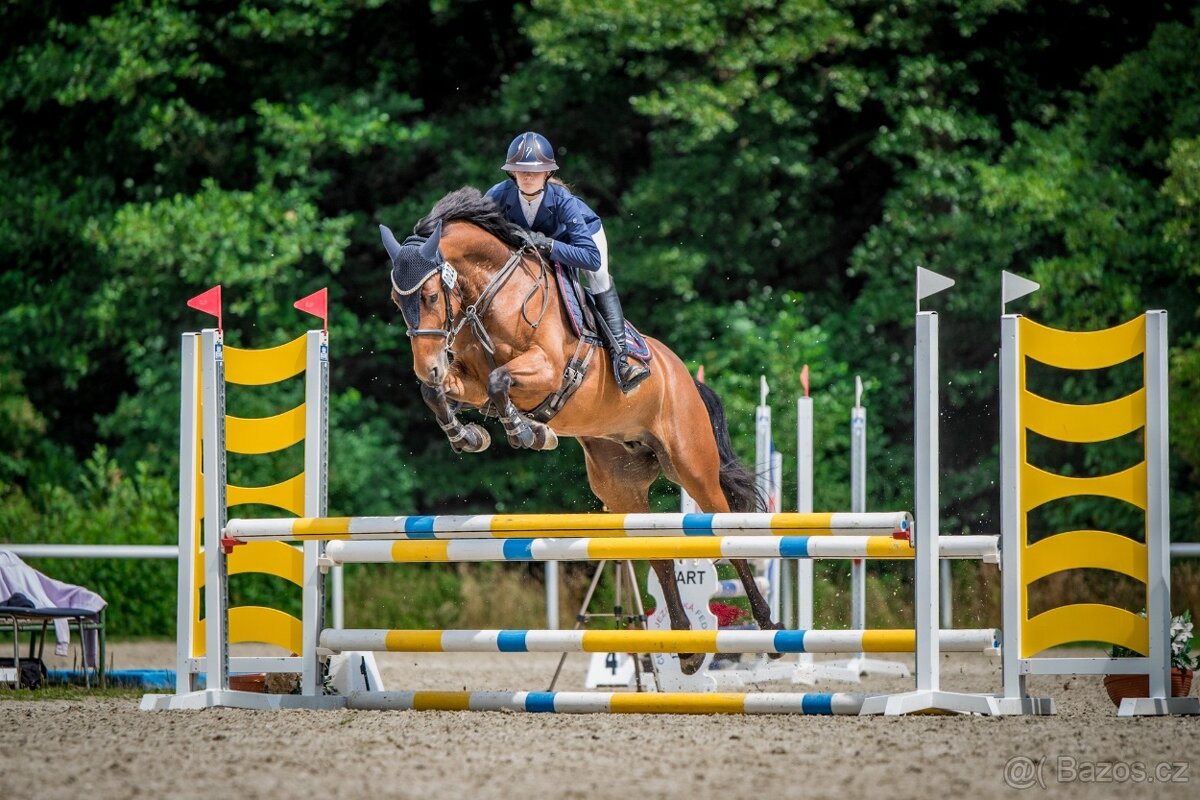 Parkurová klisna pro ambiciózního juniora - 4