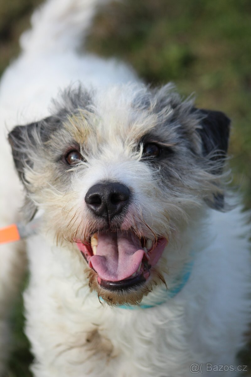 Apollo ❤ sněhová vločka ❤ - 4