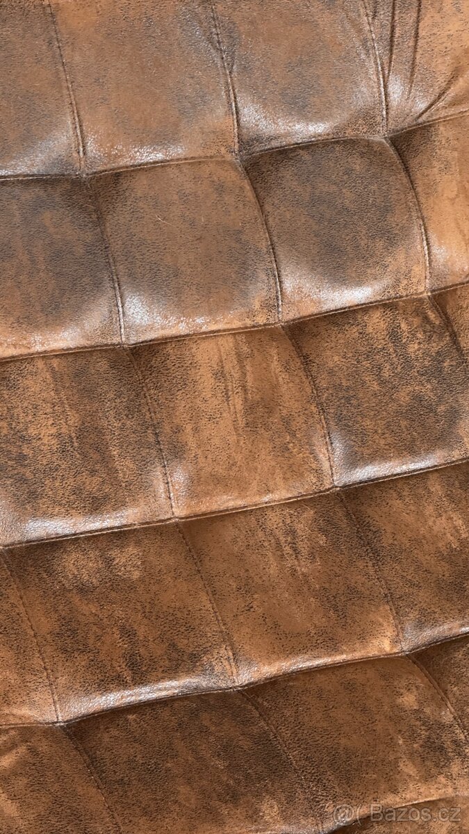 Zebra Interior Couch - 4