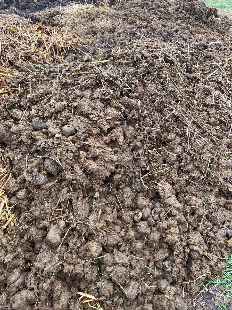 Koňský hnůj zdarma - 4