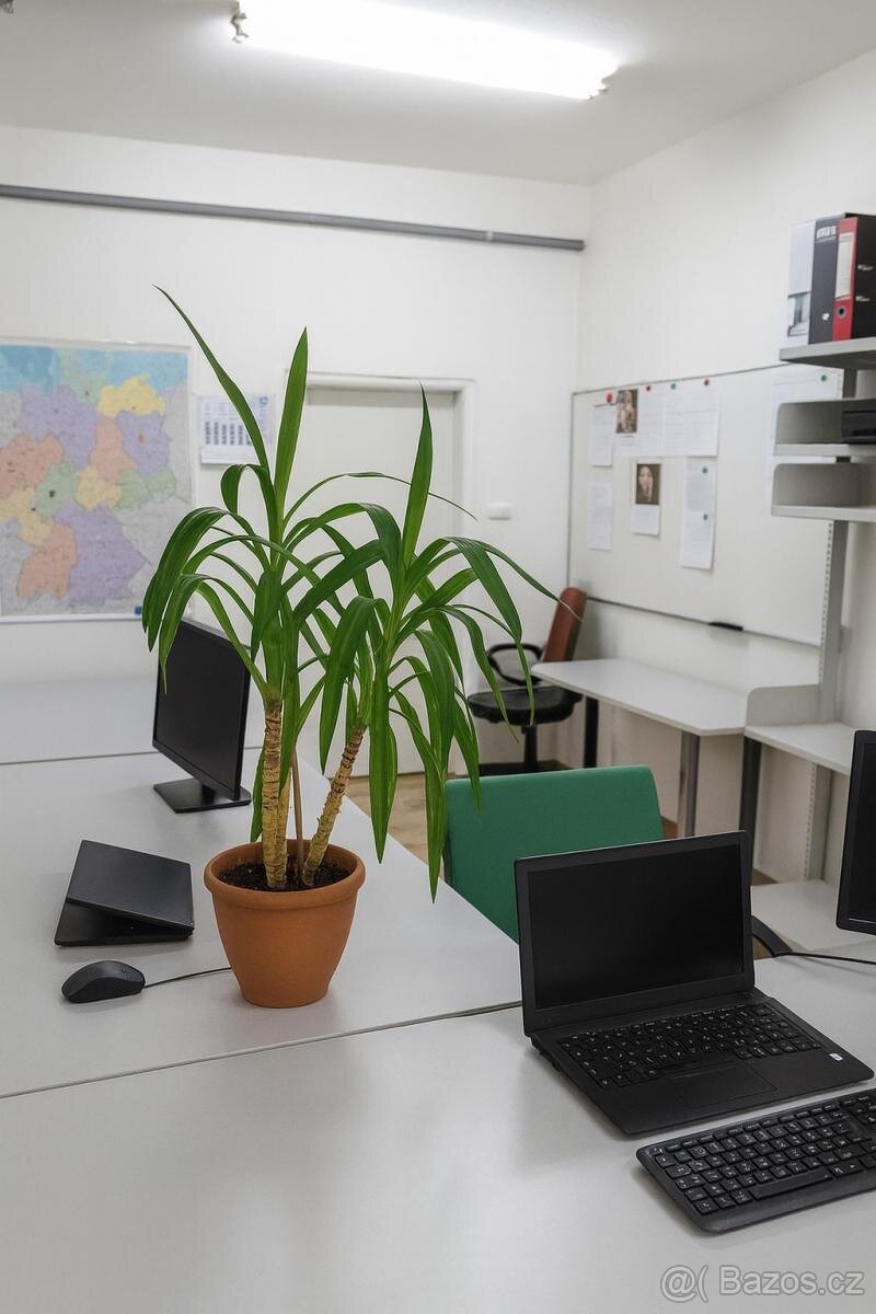 Pronájem kanceláře v ulici Růžová 1425 v Mostě - 4