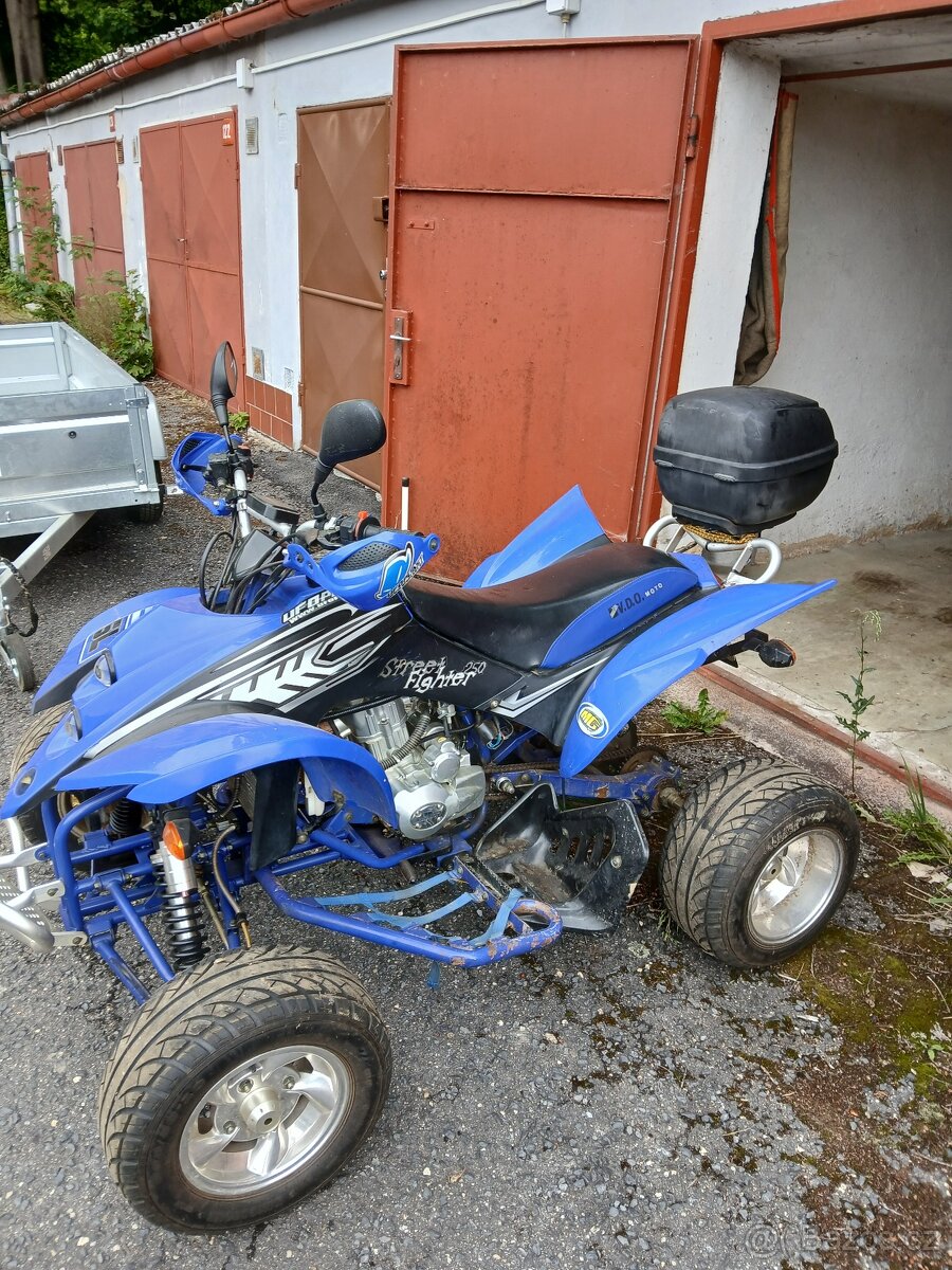 Shineray Street Fighter 250