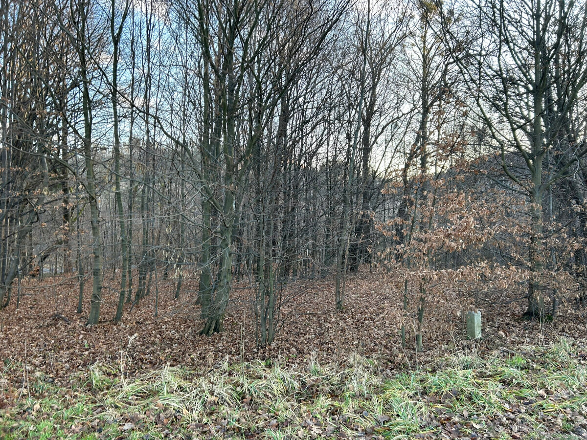 Prodej pozemku Rožnov pod Radhoštěm - 4