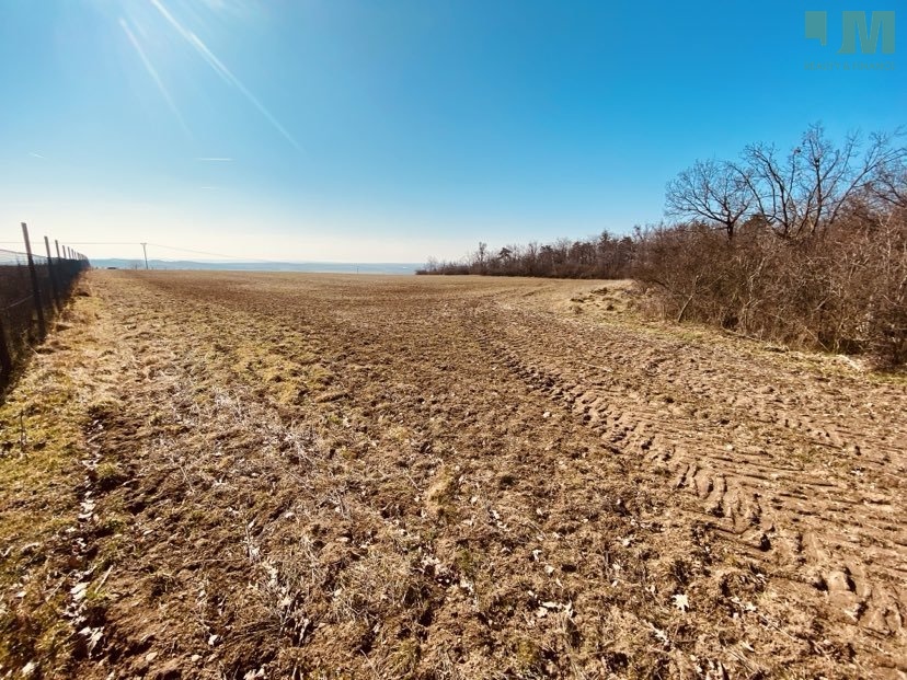 Prodej pozemky - zahrady, 7 000 m2 - Dobšice, ev.č. 01717 - 4