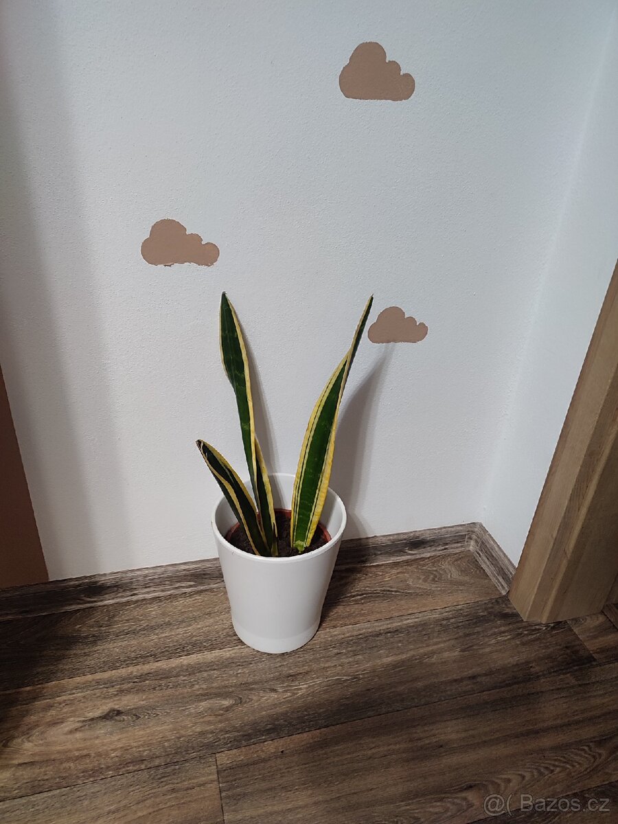 Šablony k malovani-traktor, oblacky - 4