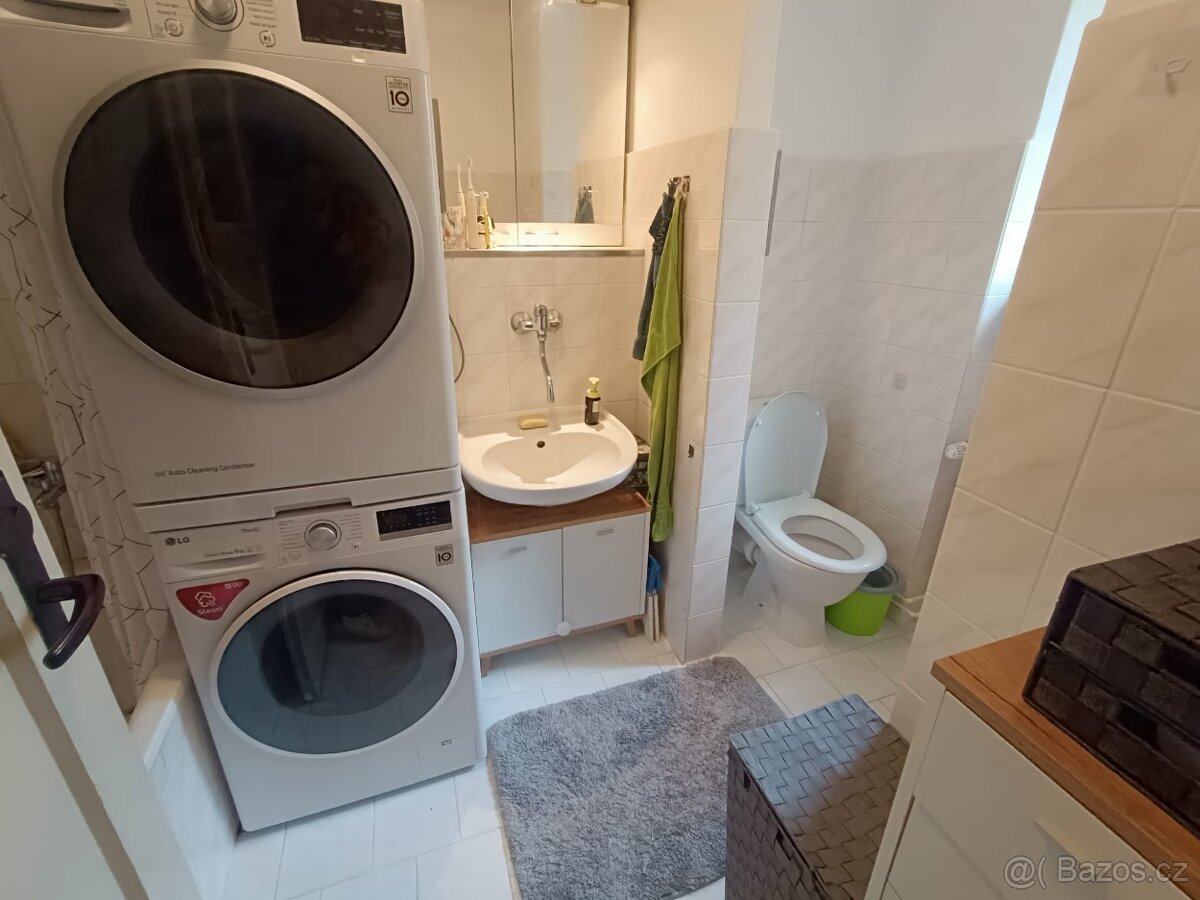 Prodej bytu 2+1, 50m2 (možno upravit na 3+kk) - 4