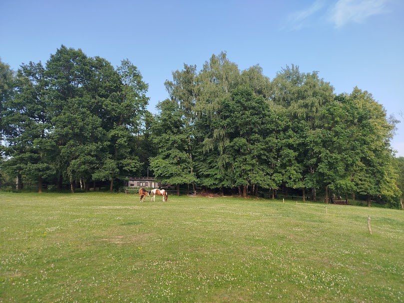 společník ,pastevní ustájení - 4