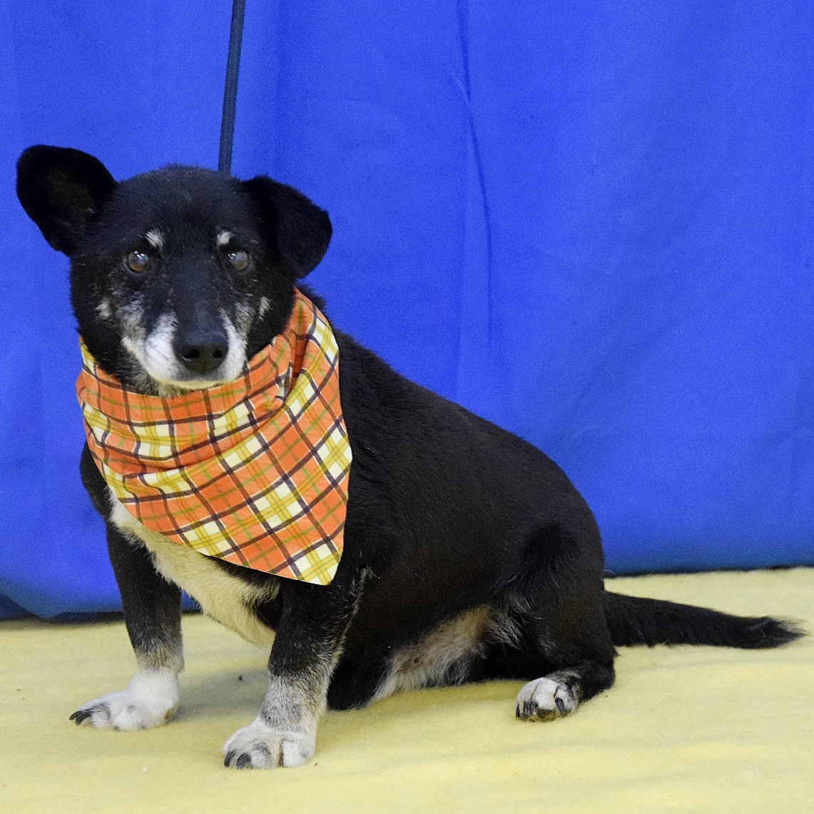 Leoš hledá domov - 4