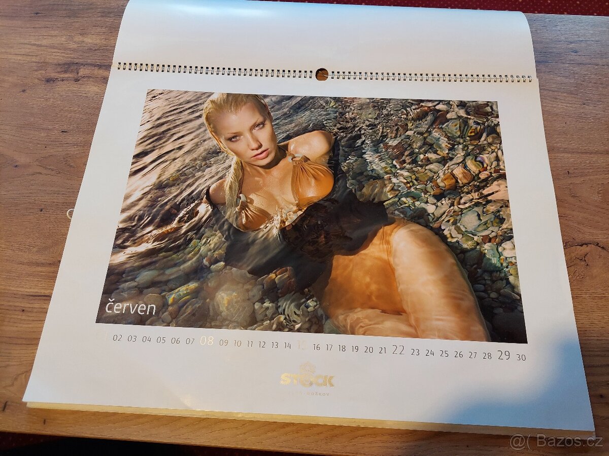 NÁSTĚNNÉ KALENDARE ROK 2008 a 2009 - 4