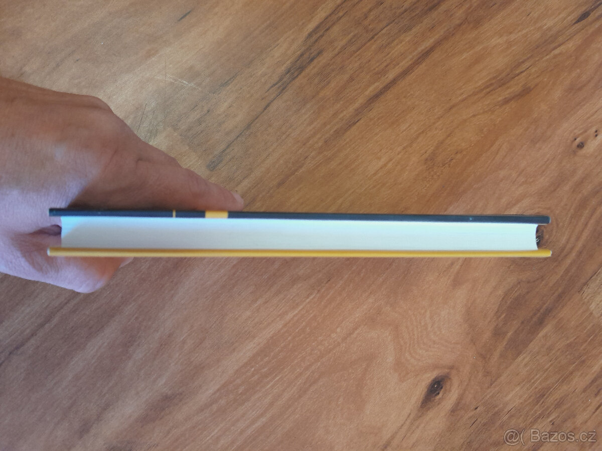 Legendární kniha Chucka Palahniuka, Klub rváčů - 4