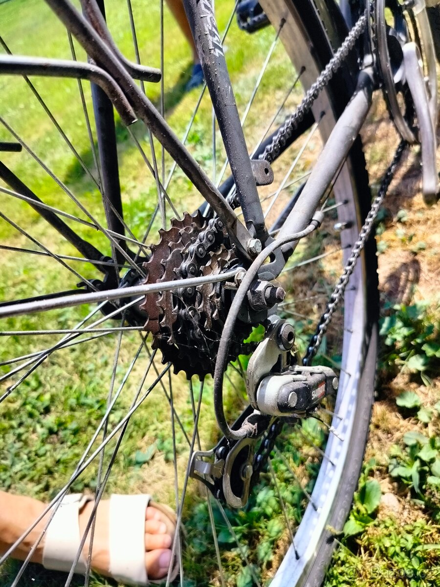 Pánské kolo Velamos - 4