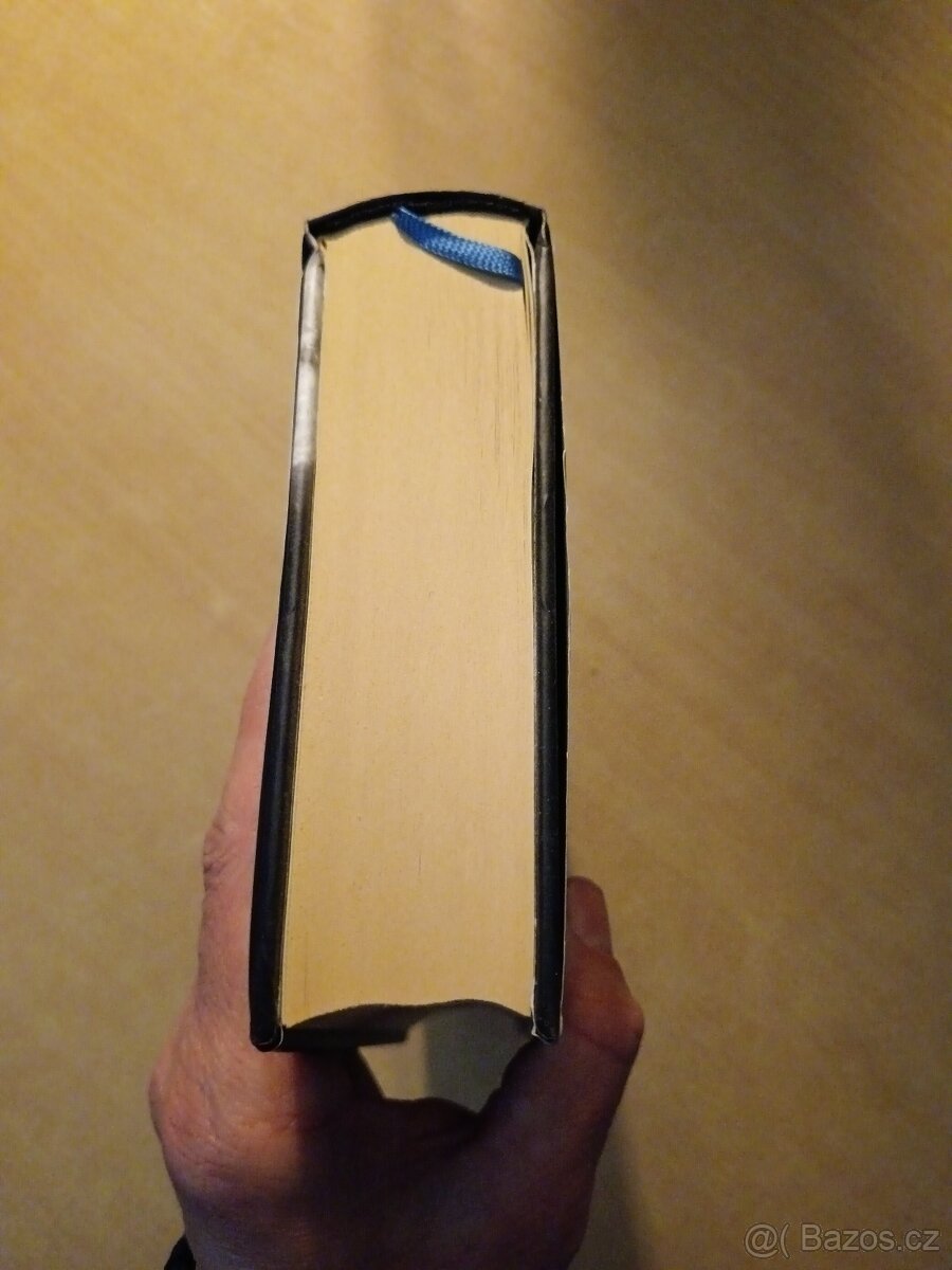 Pohřbení - Ellison Cooper - 4