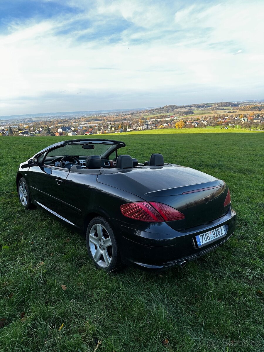 Peugeot 307cc - 4