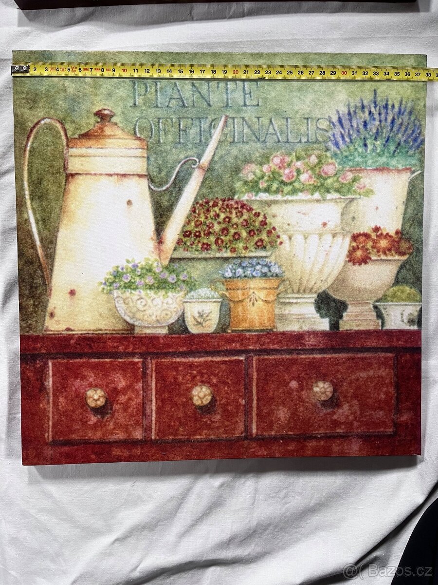 Nástěnné obrazy - 4