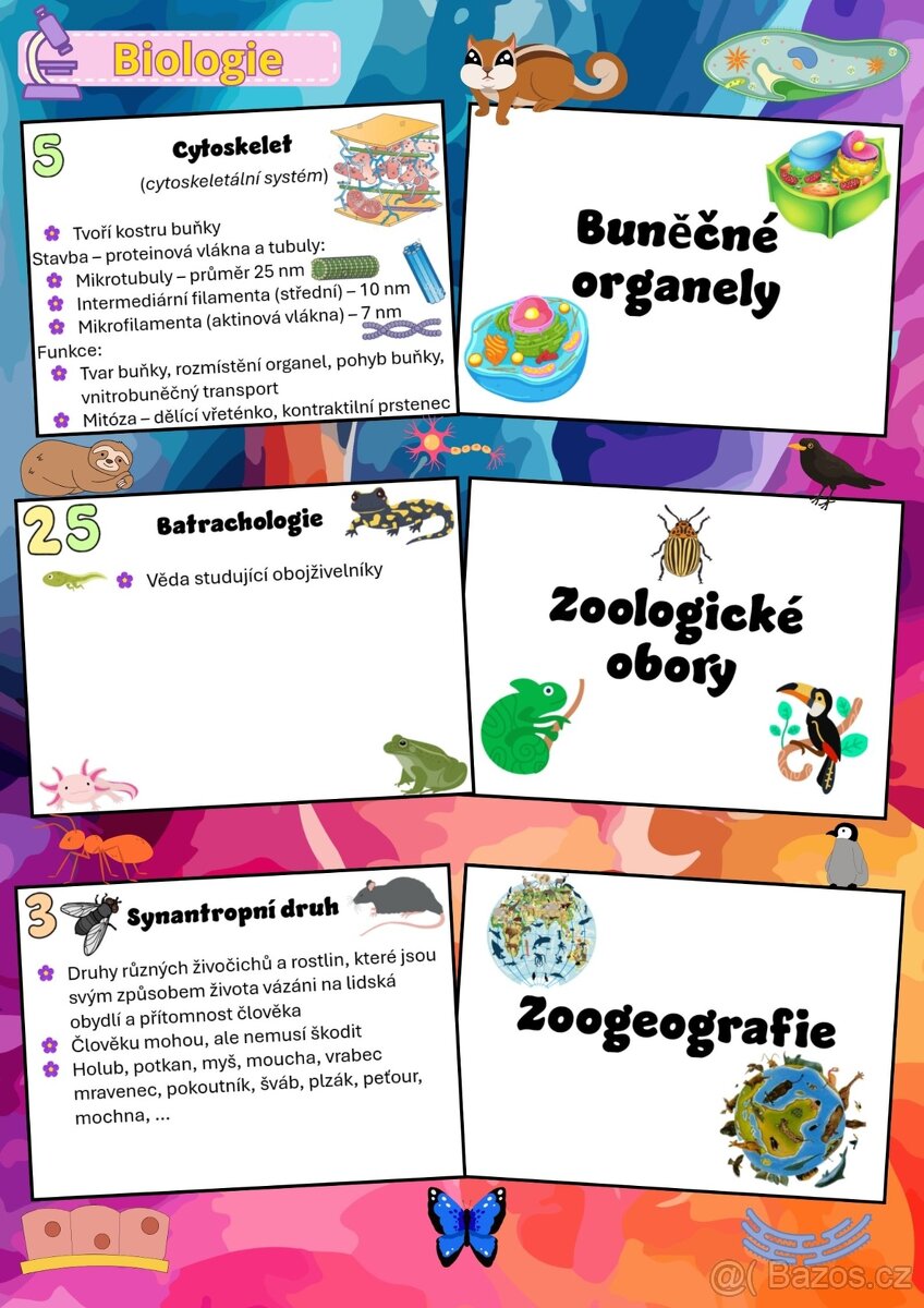 VÝUKOVÉ KARTIČKY BIOLOGIE - 4