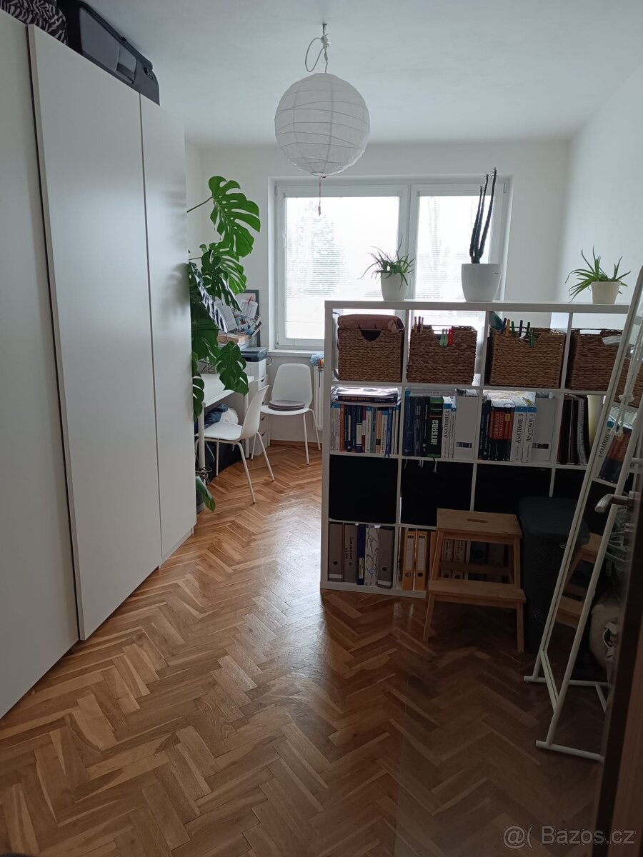 Pronájem bytu 3+kk - 4