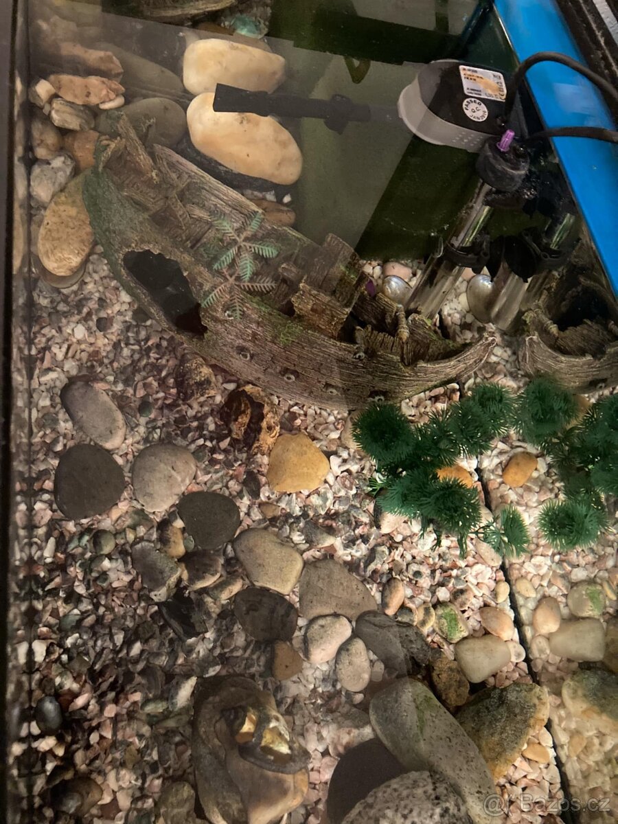 Akvárium 60x30x30 - 4