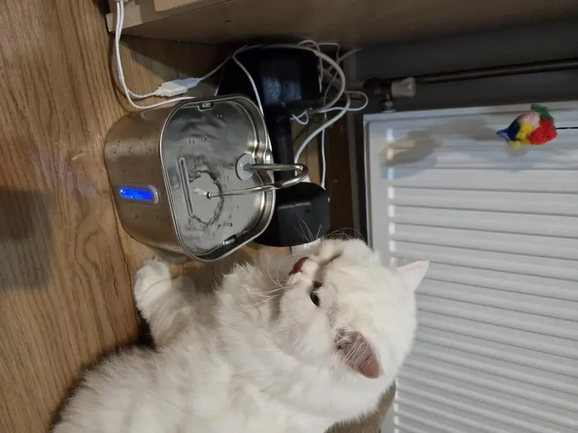 Fontánka pro kočky - 4