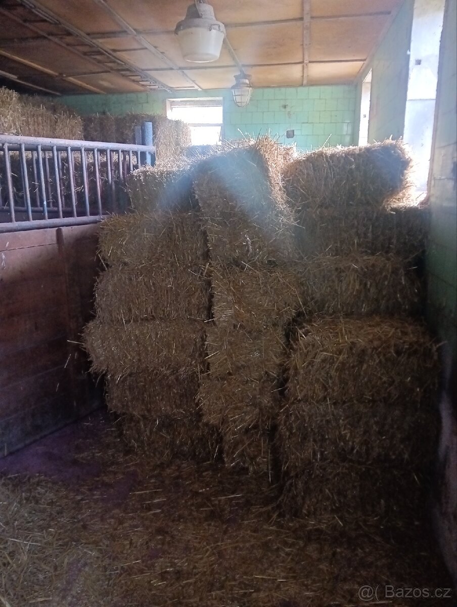 Sláma - 4