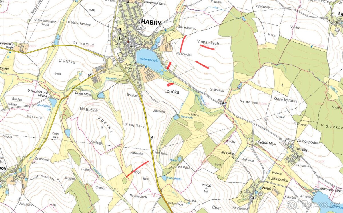 Zemědělská půda, prodej, Habry, Havlíčkův Brod - 4