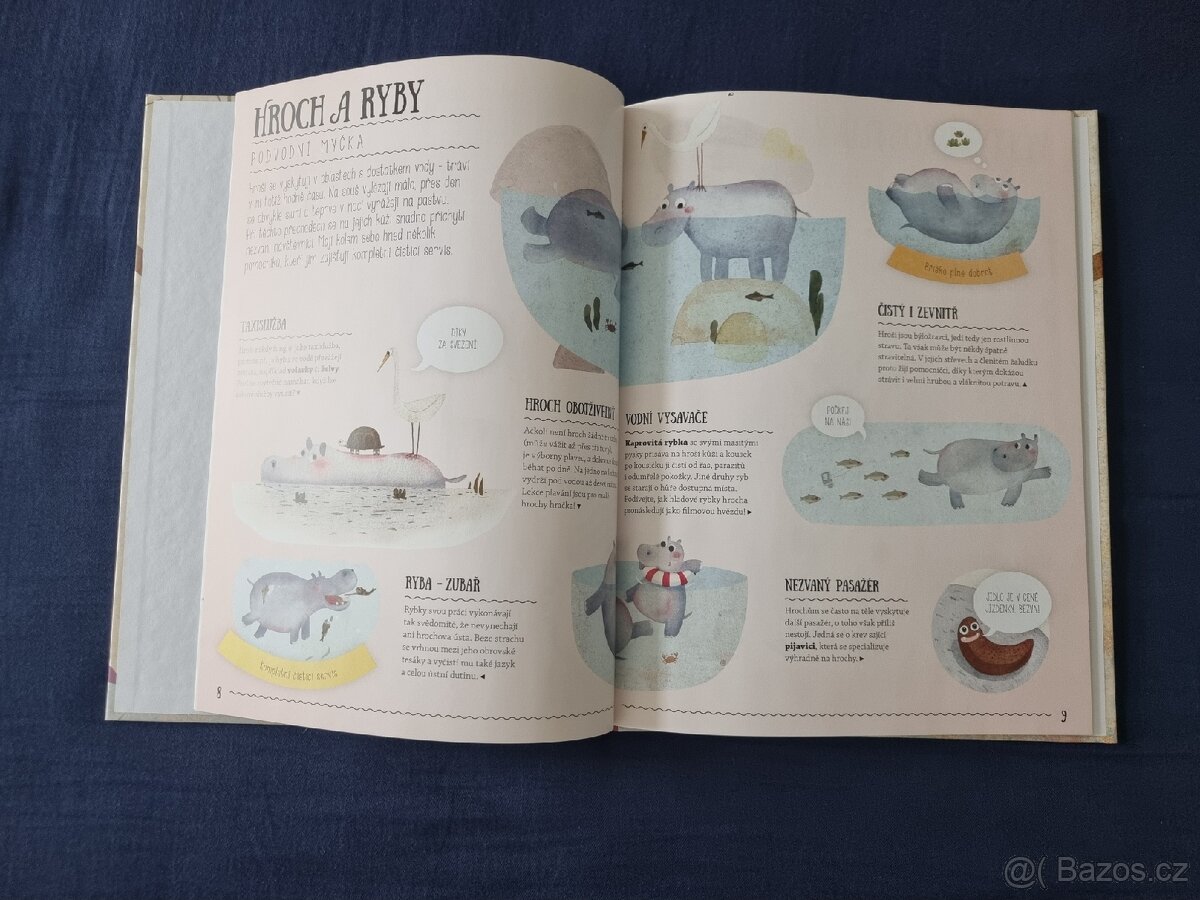 2x kniha: Pavly Hanáčkové - 4