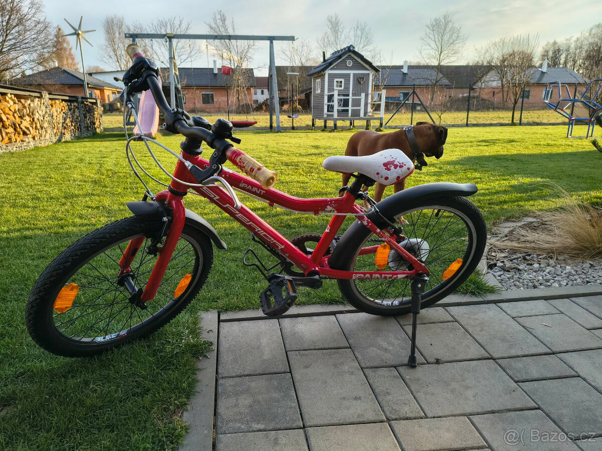 Dětské kolo Superior paint 20 - 4