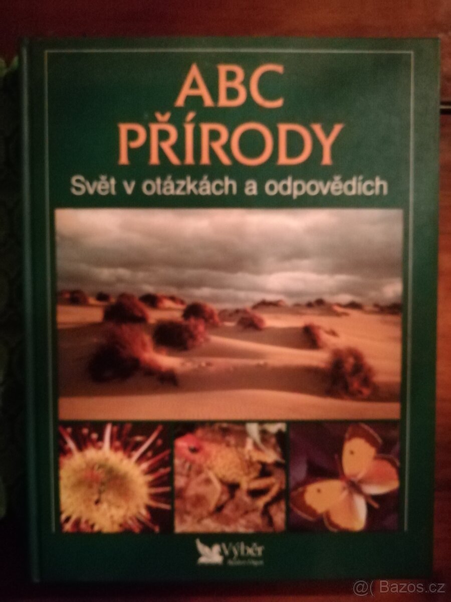 Po prohlídce ležící - 4