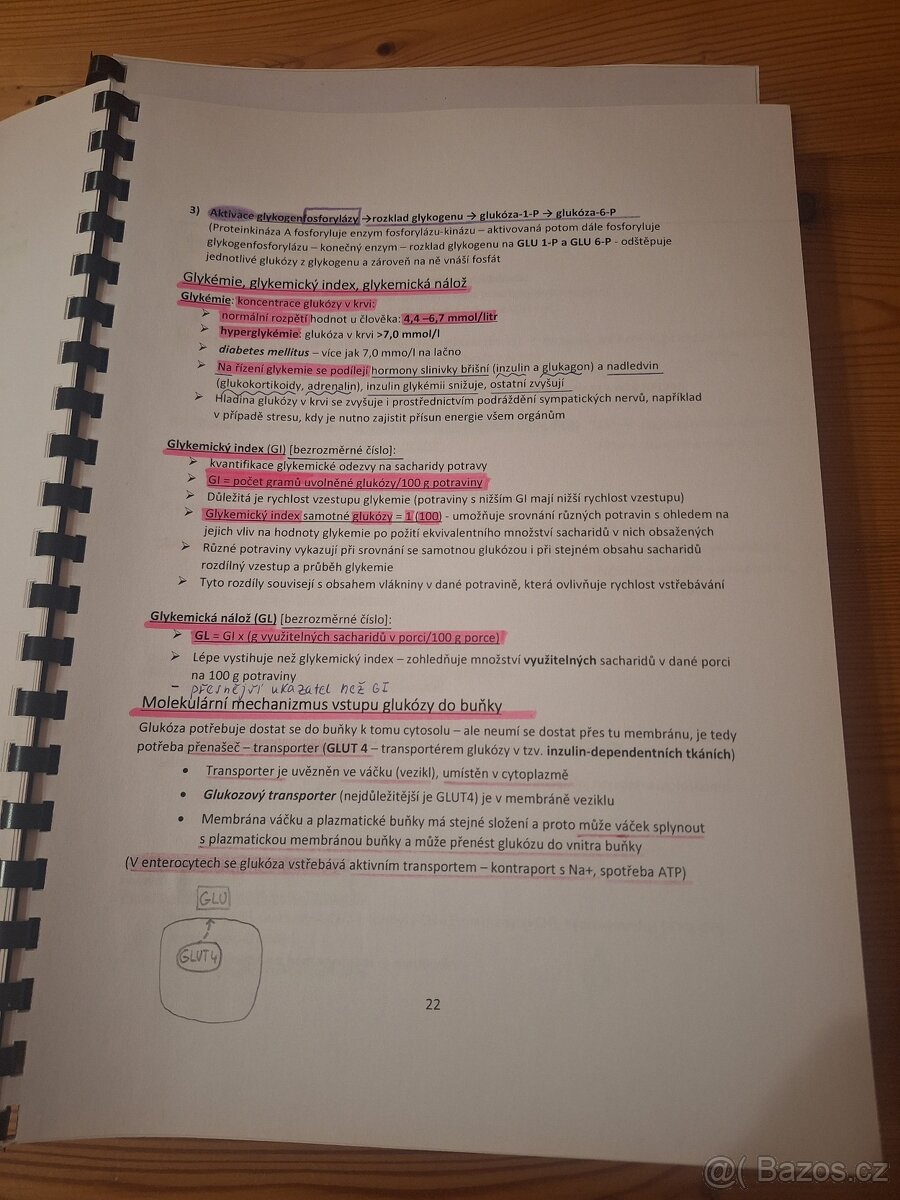 Materiály ke státnicím Mendelu - 4