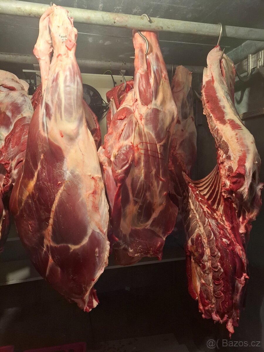 Hovezi maso - 4