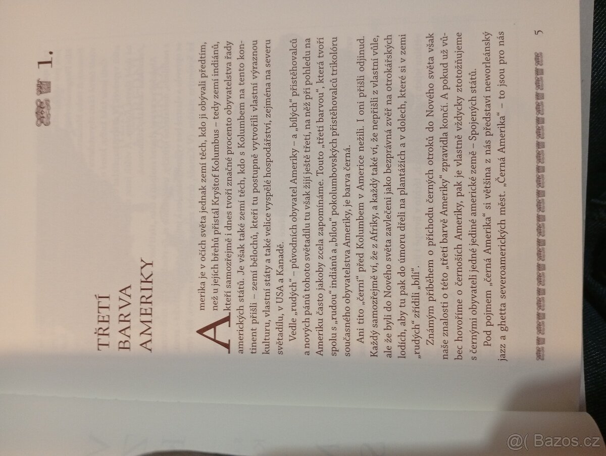 Vudu,zombie, karnevaly M.Stingl - 4