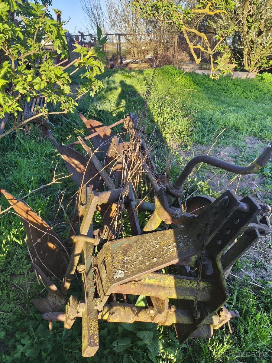 Pluh 3radličný - 4