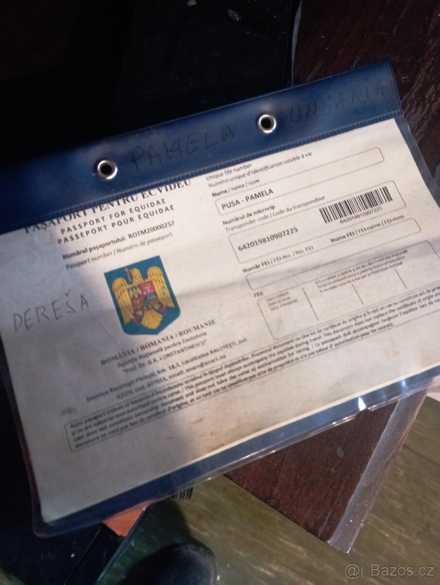 chladnokrvná kobyla na predaj - 4