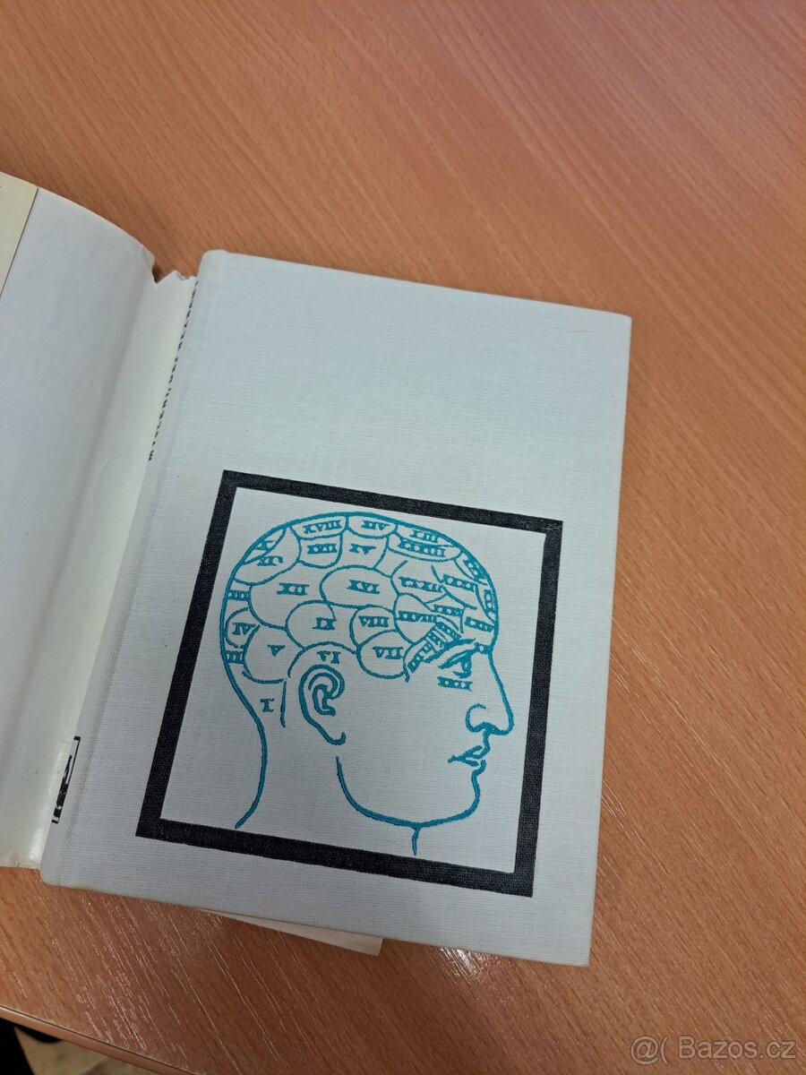 Myšlení, děj neznámý - Vladimír Lvovič Levi - 4