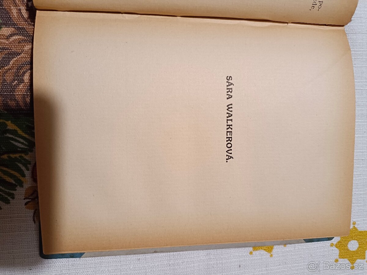 F. Bret Harte: Apoštol z baziny - 4