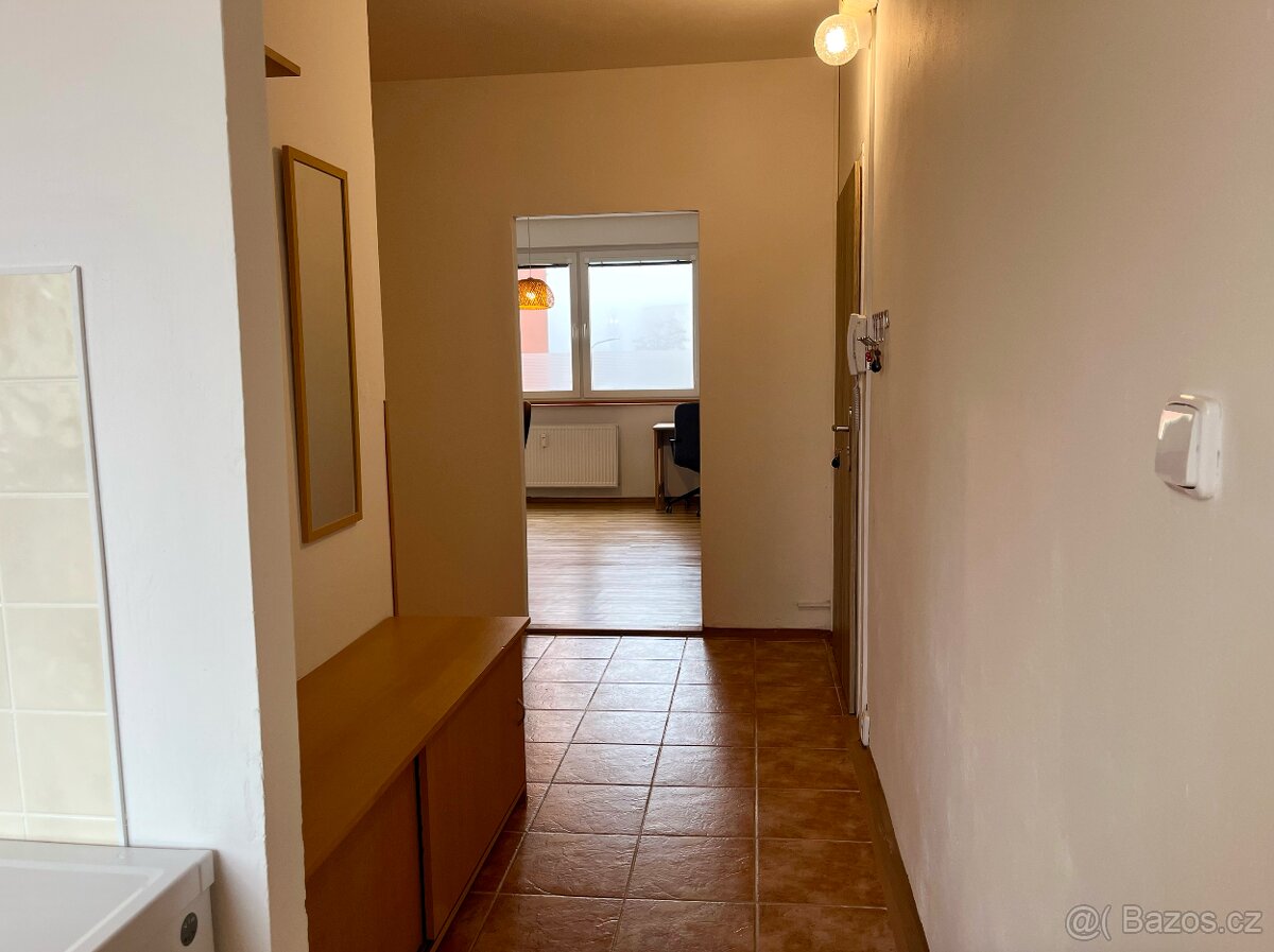 Prodej prosvětleného bytu 2+1 57m² - Lužická - 4