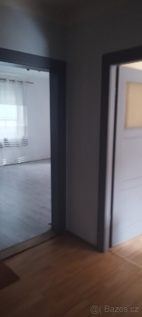 Pronájem bytu - 4