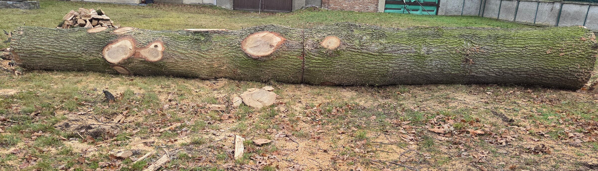 Dubová kulatina - 4