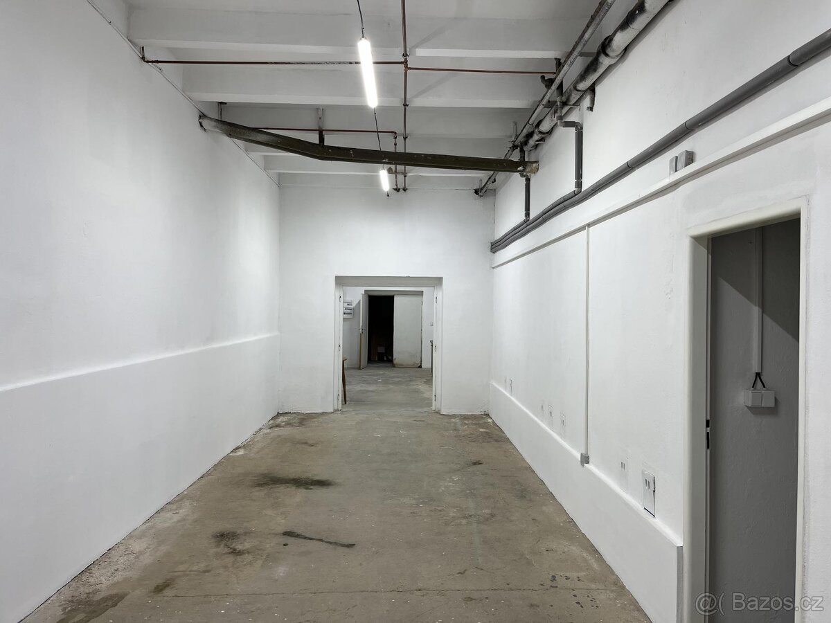 Nebytové prostory 135 m2 - 4