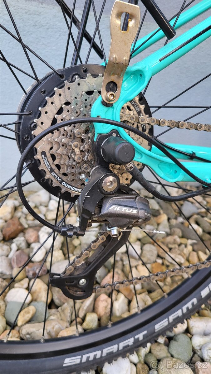 Leader Fox Venosa - 4