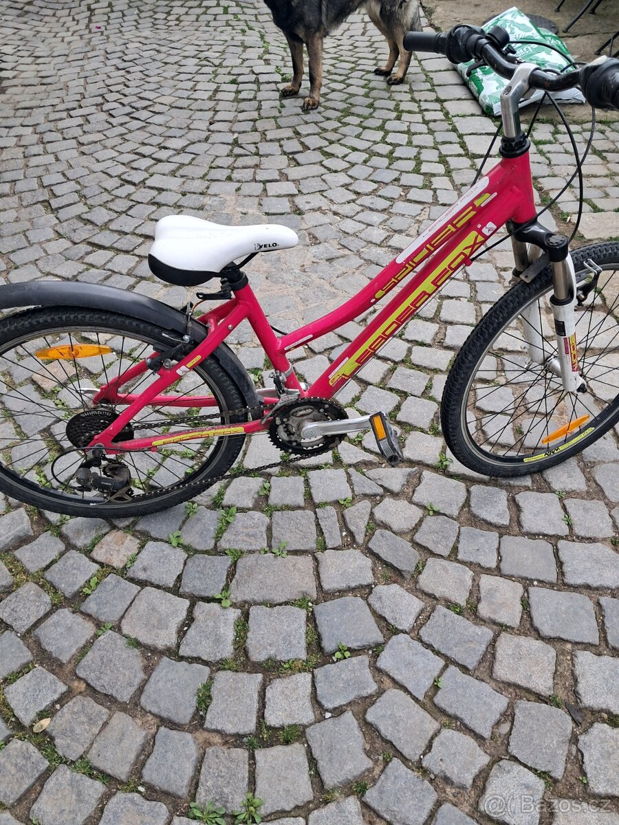 Proda divčí kolo - 4