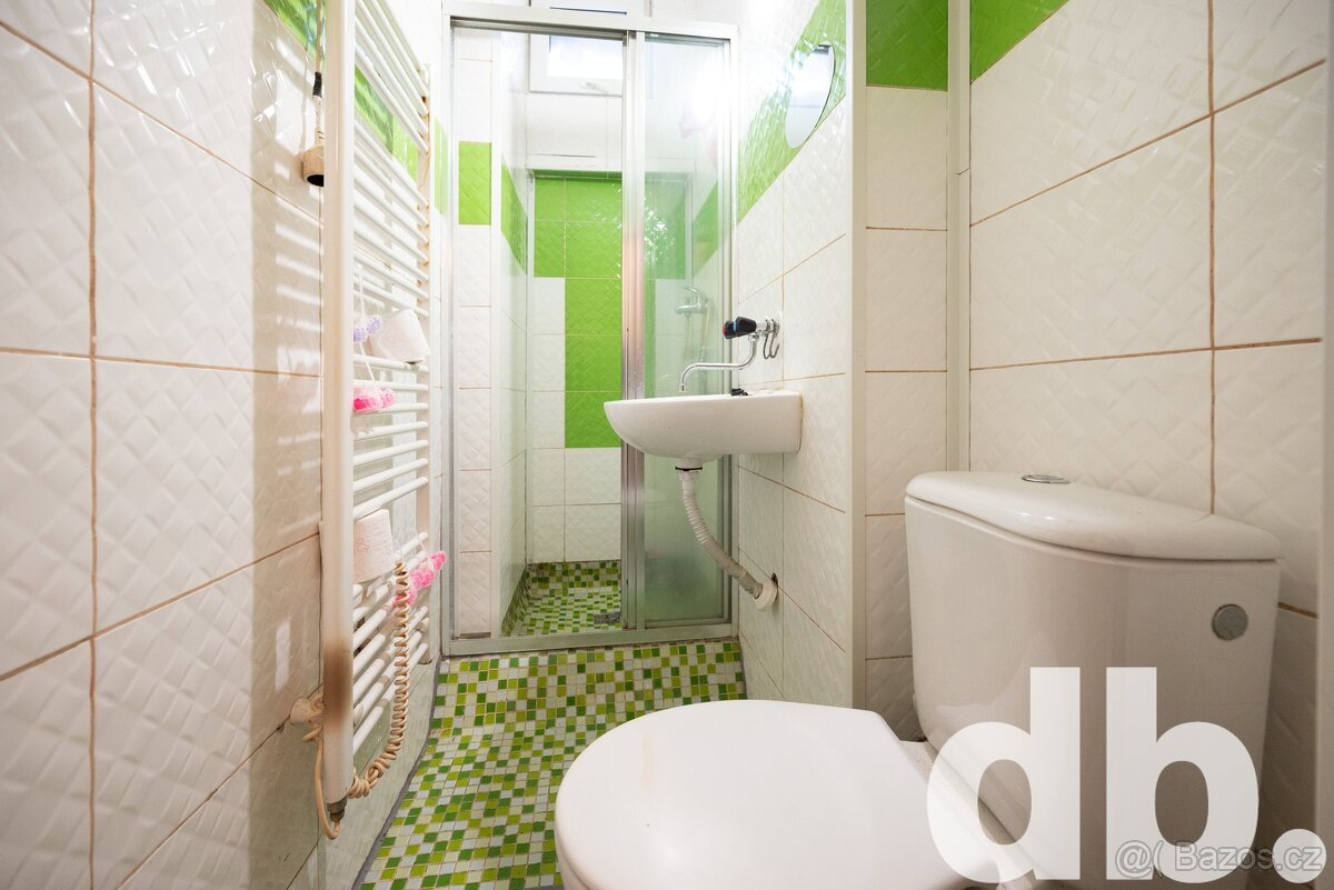 Prodej bytu 1+1 45 m², Karlovy Vary - Stará Role - 4