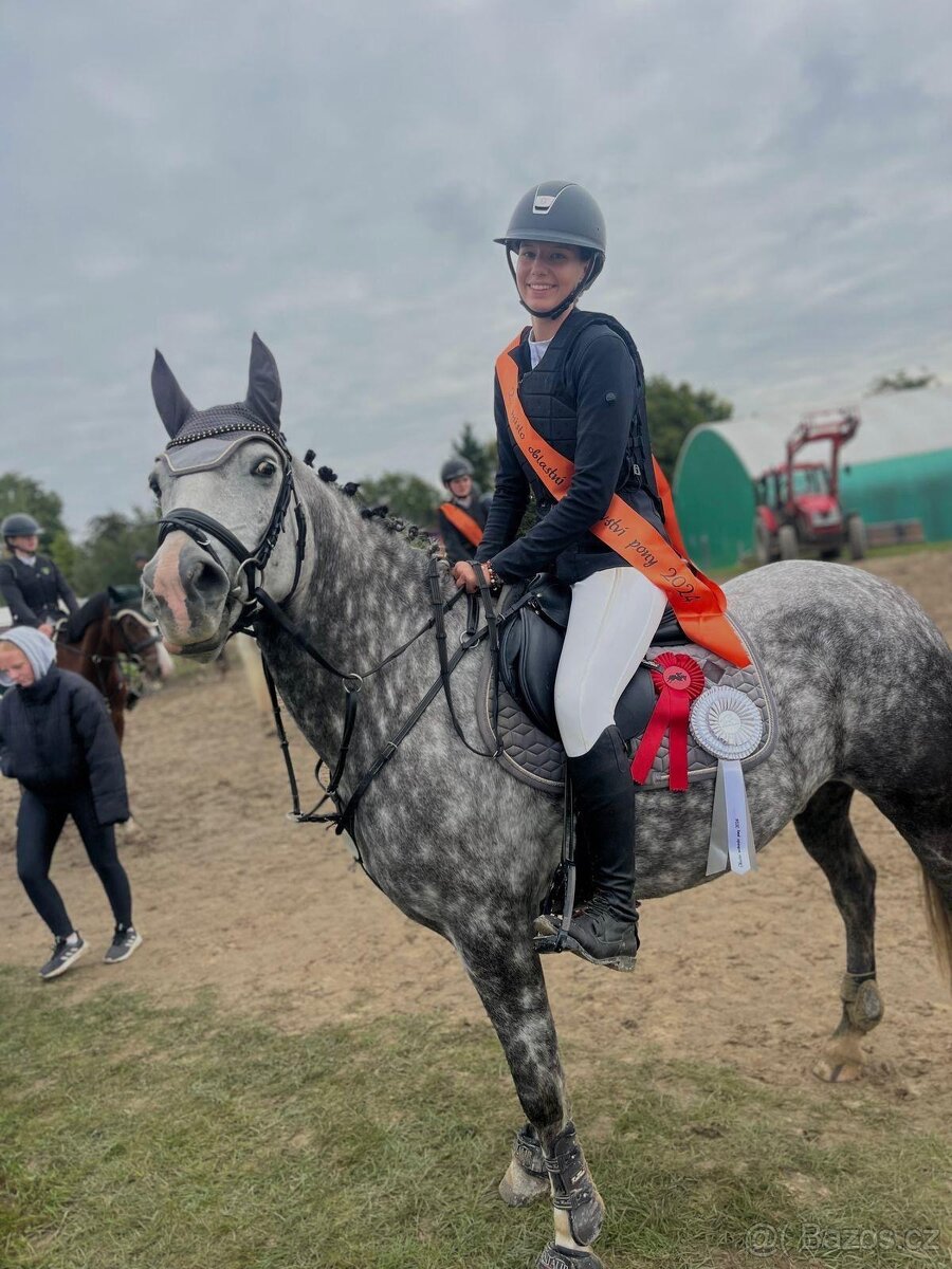 ⭐️ Krásný valášek na prodej ⭐️ - 4