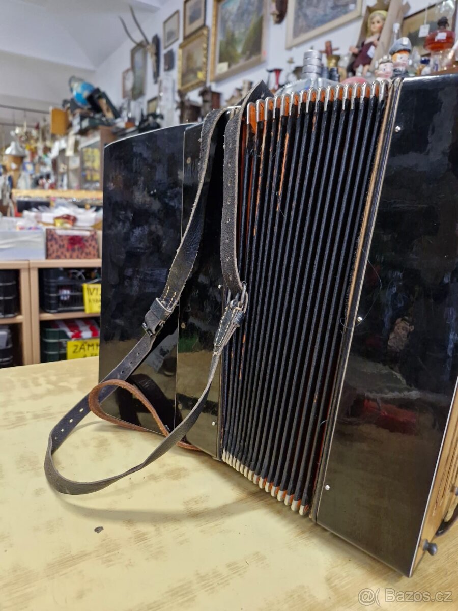 Harmonika Gloria - 4