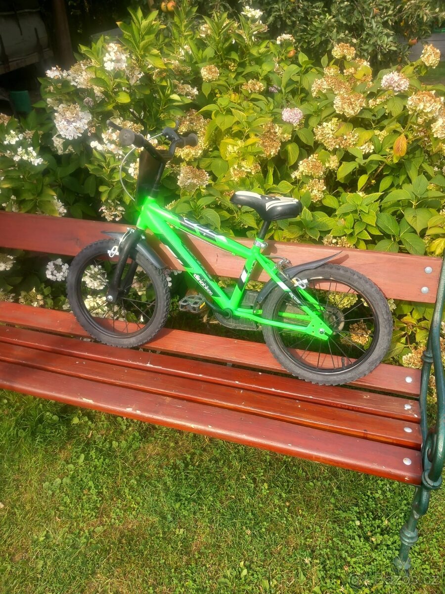 dino bikes - 4