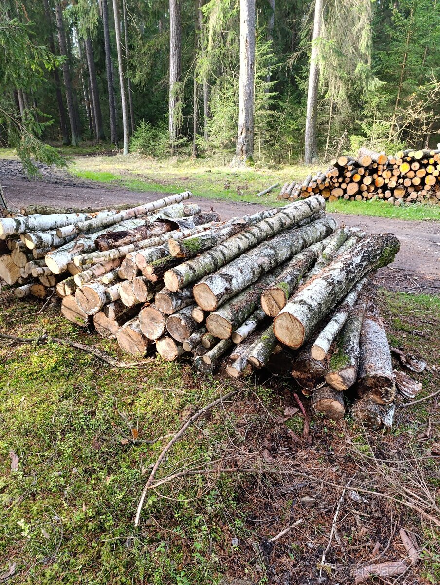 Palivové dřevo neštípané měkké/tvrdé - 4